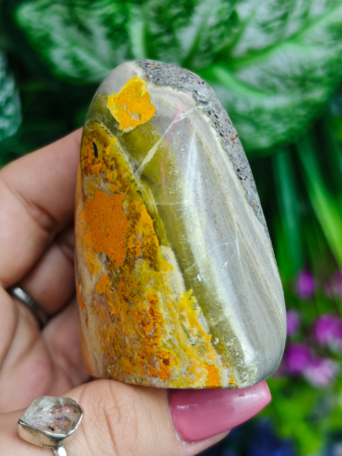 Bumblebee Jasper Freeform