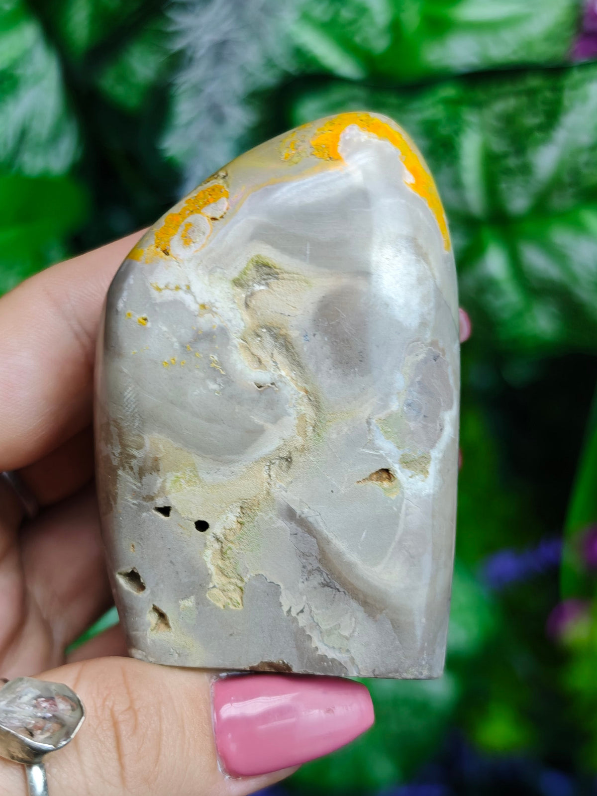 Bumblebee Jasper Freeform