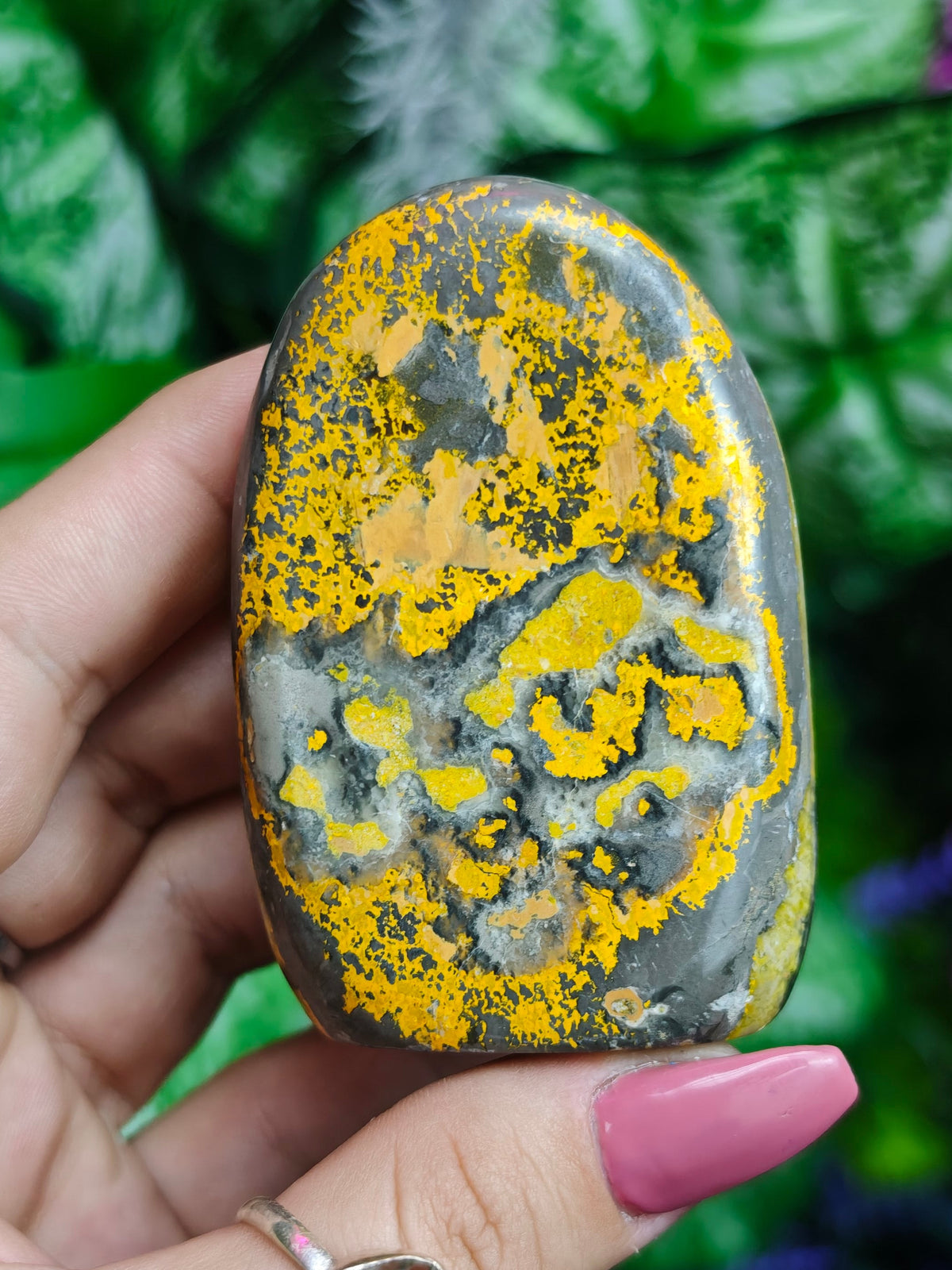 Bumblebee Jasper Free Form