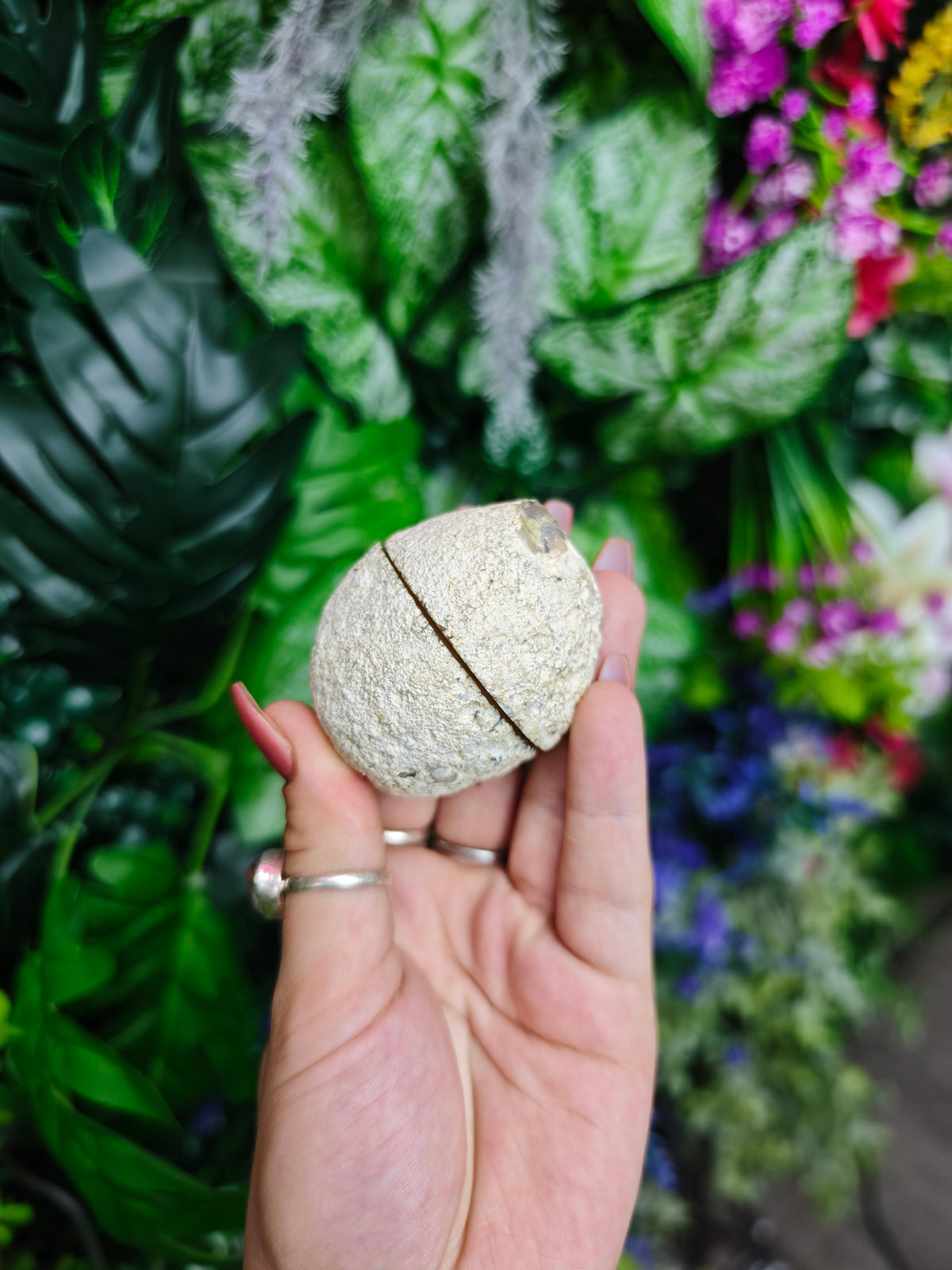 Brazilian Agate Geode