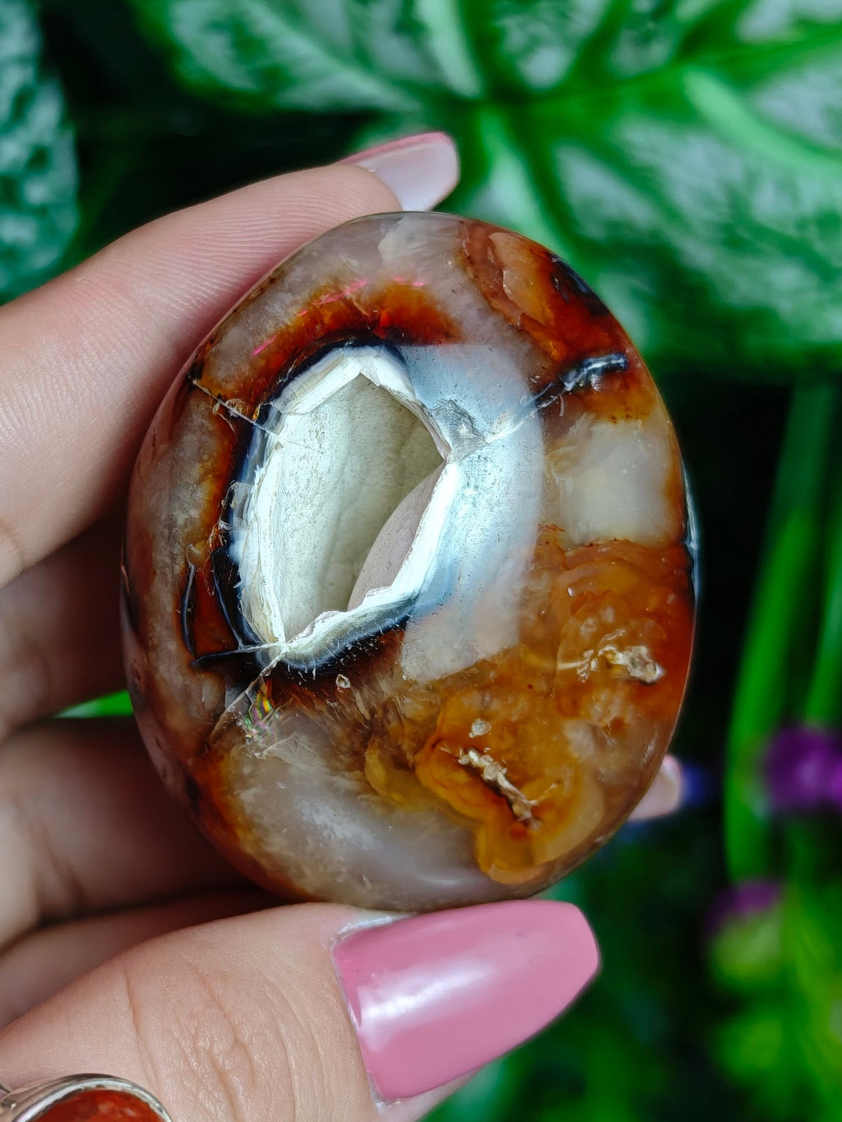 Carnelian & Orca Agate Palm Stone
