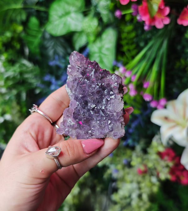 Elestial Amethyst on Fluorite Specimen