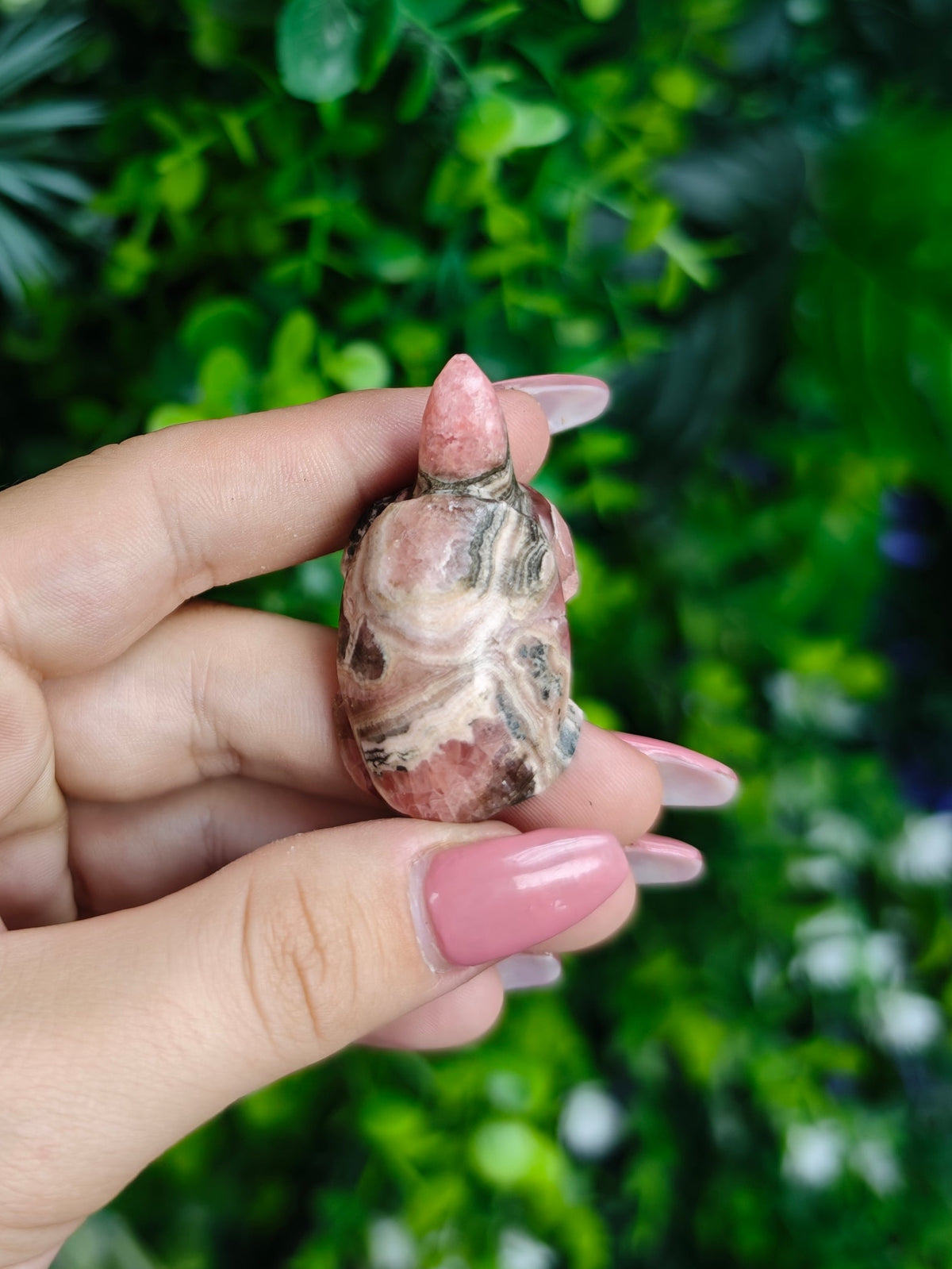 Rhodochrosite Turtle Carving