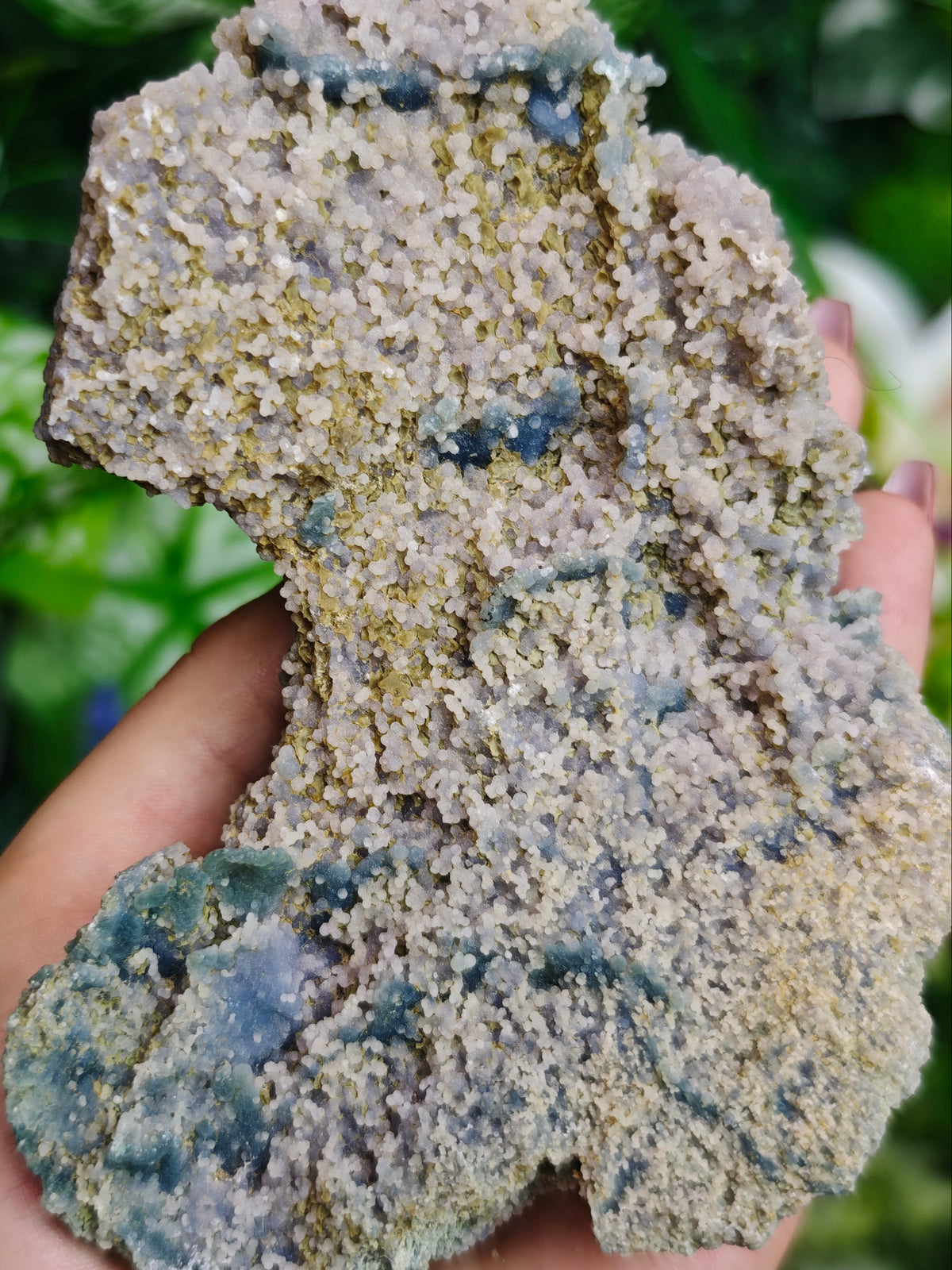Grape Agate Raw Specimen