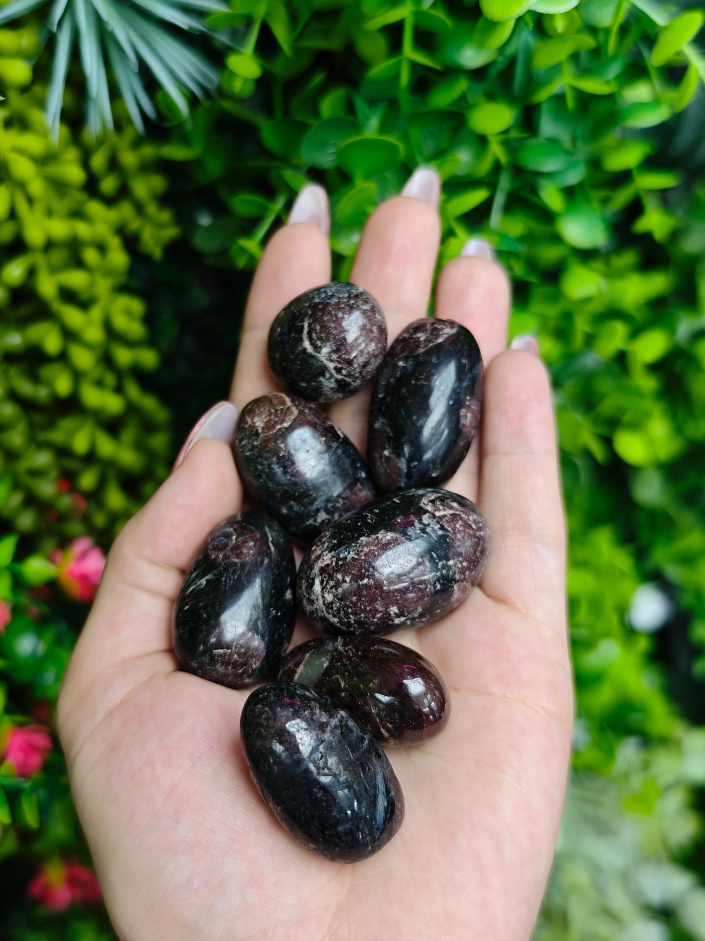 Garnet with Astrophylite Tumbled Stones