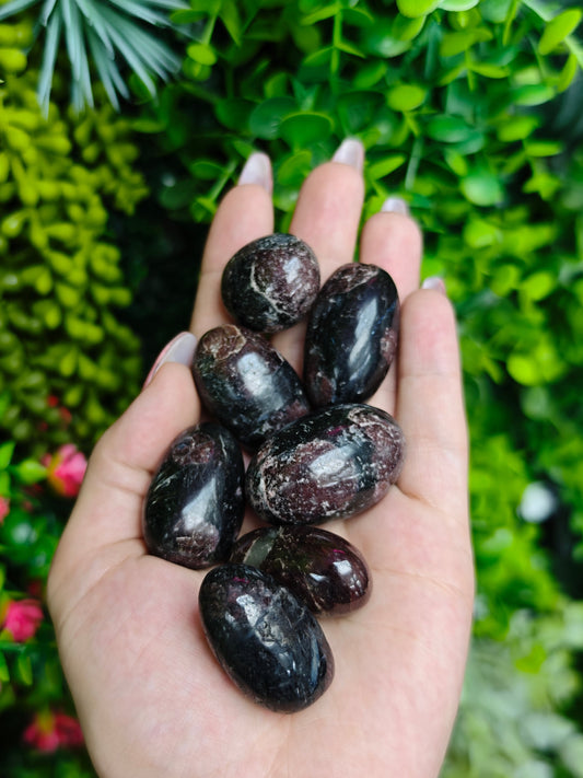 Garnet with Astrophylite Tumbled Stones