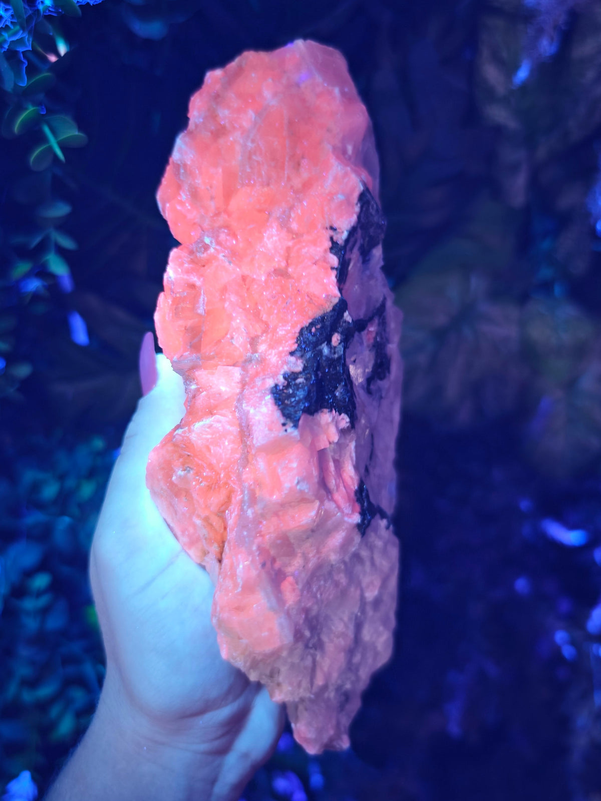 Petal Calcite with Pyrite Statement Raw Stone