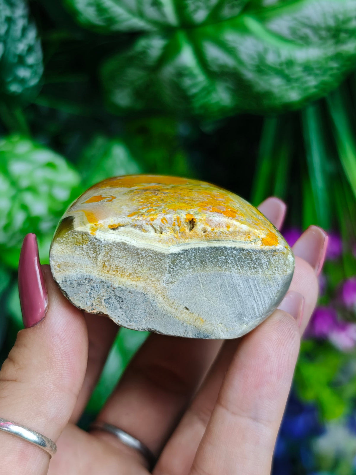 Bumblebee Jasper Freeform