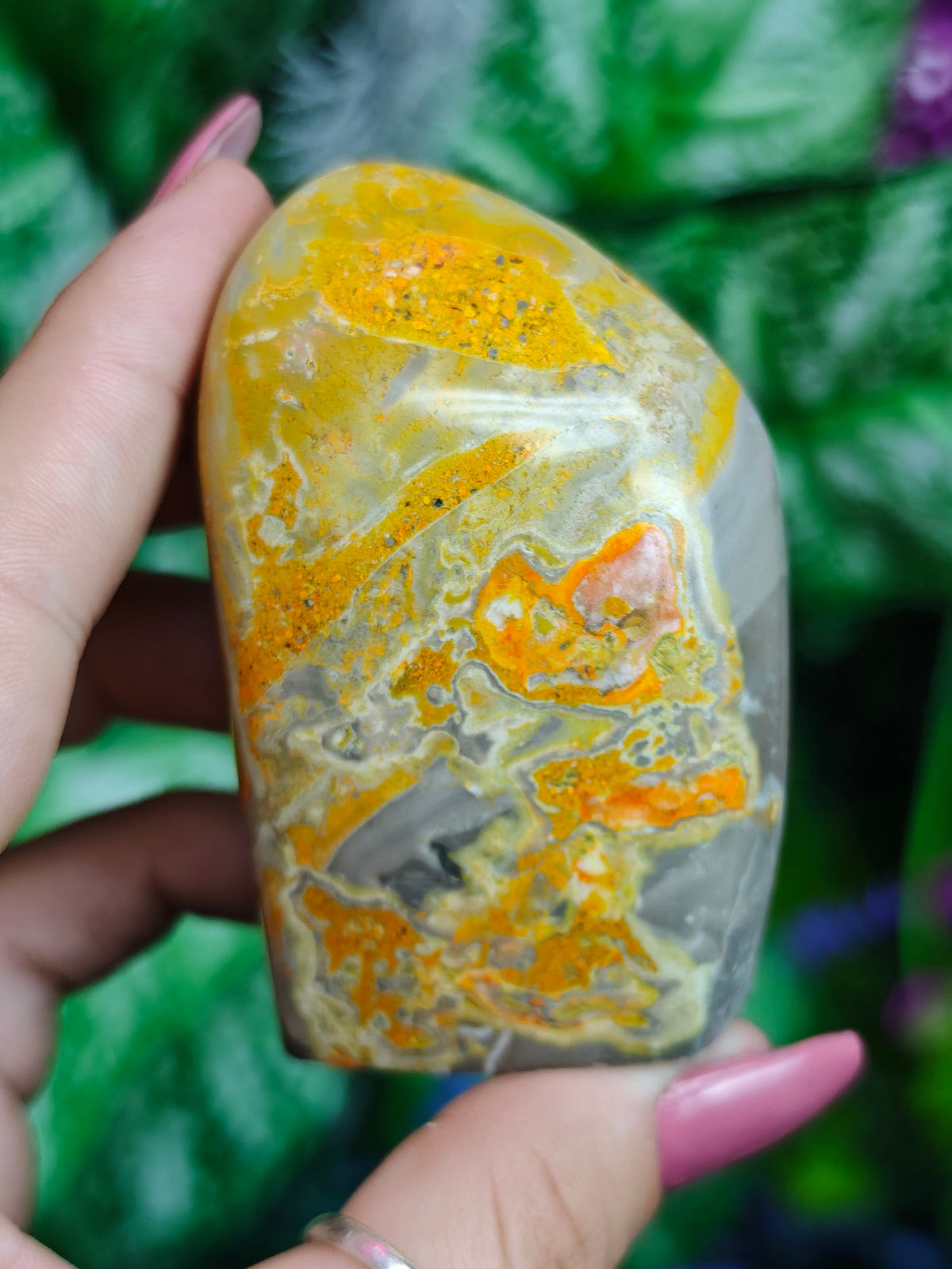 Bumblebee Jasper Freeform