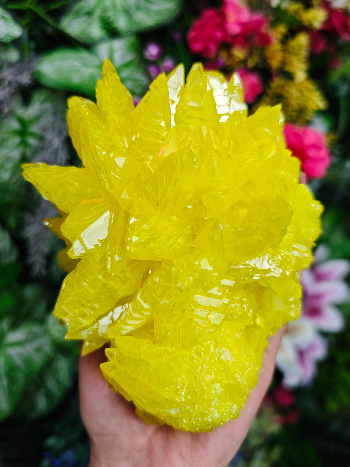 Pure Sulfur Specimen