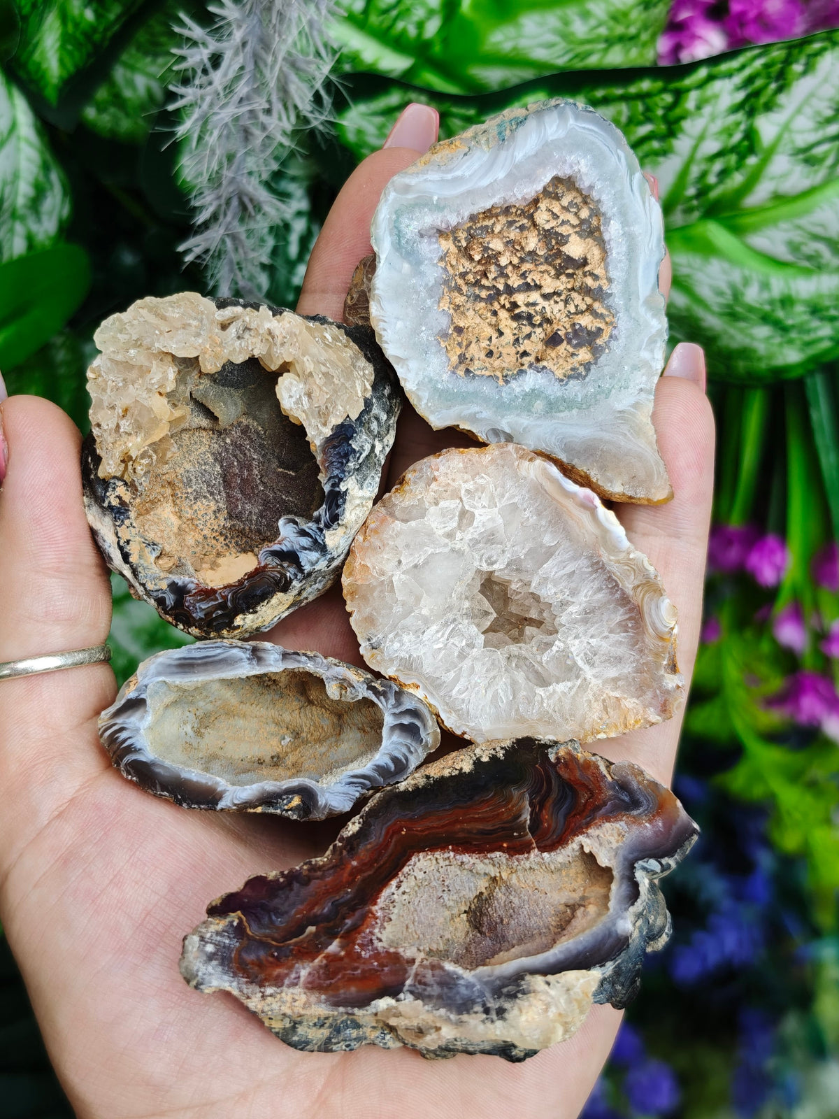 Brazilian Agate Geodes
