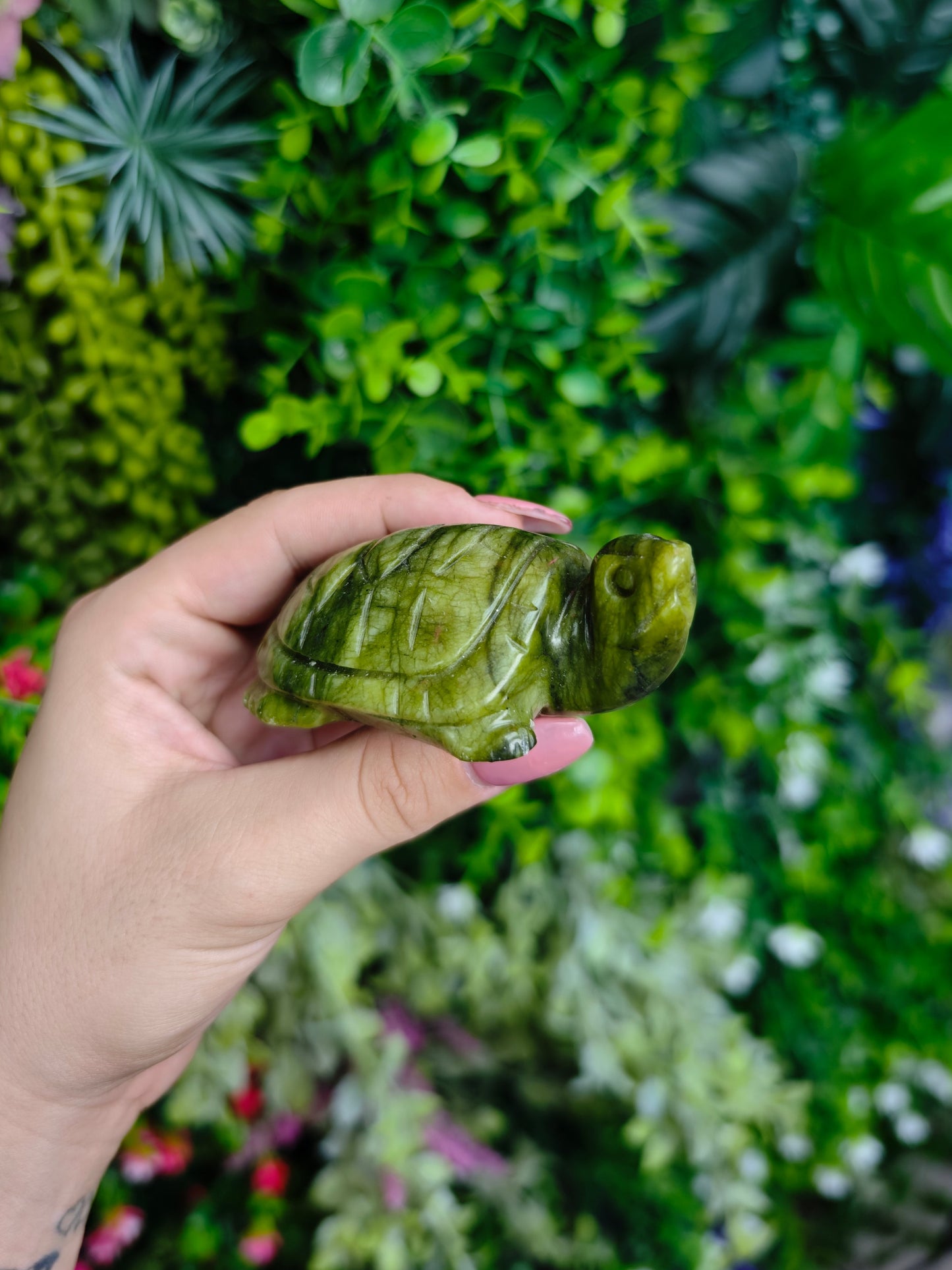 Green Jade Turtle