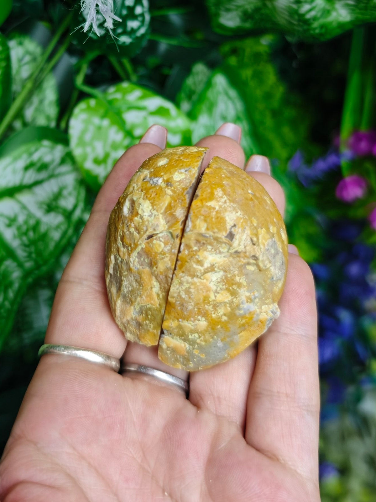 Brazilian Agate Geode