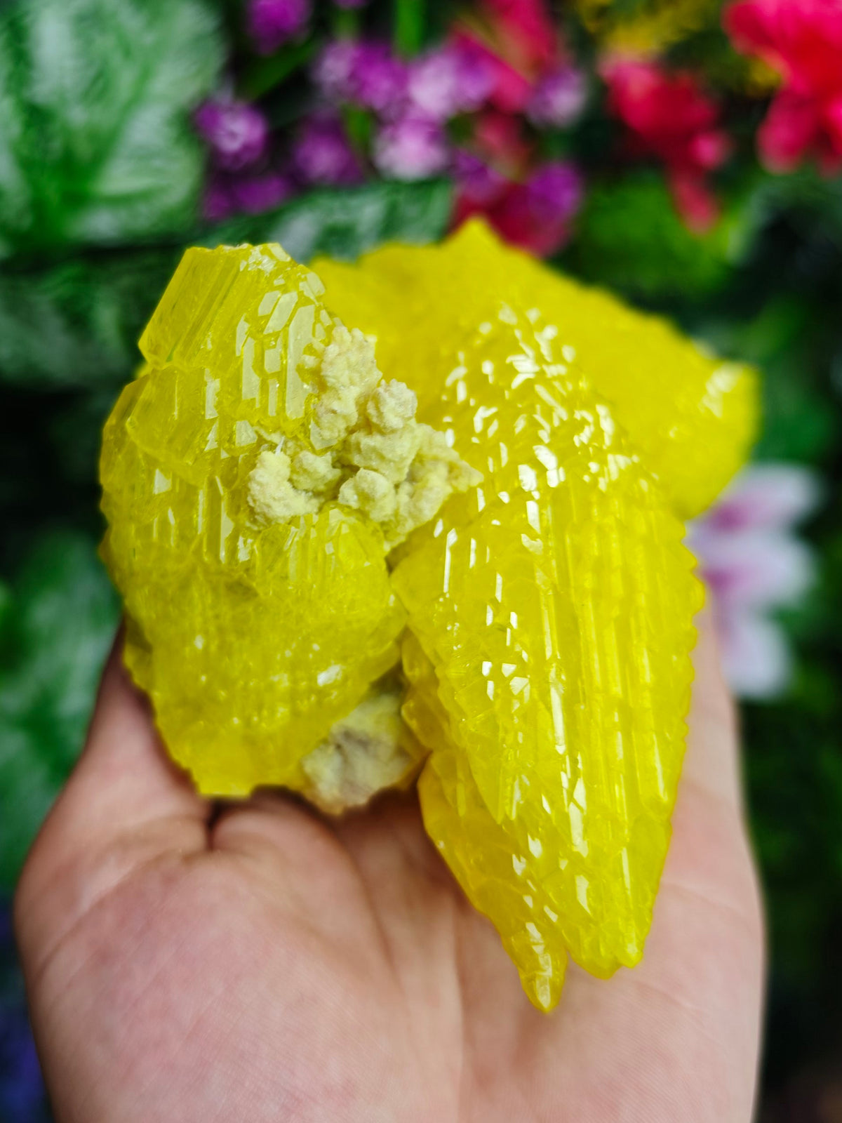 Pure Sulfur Specimen