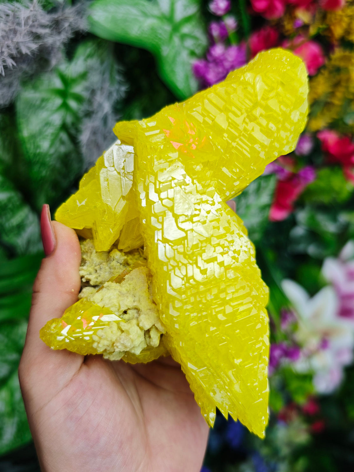 Pure Sulfur Specimen
