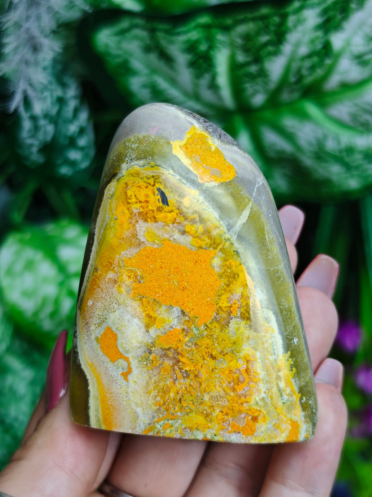Bumblebee Jasper Freeform