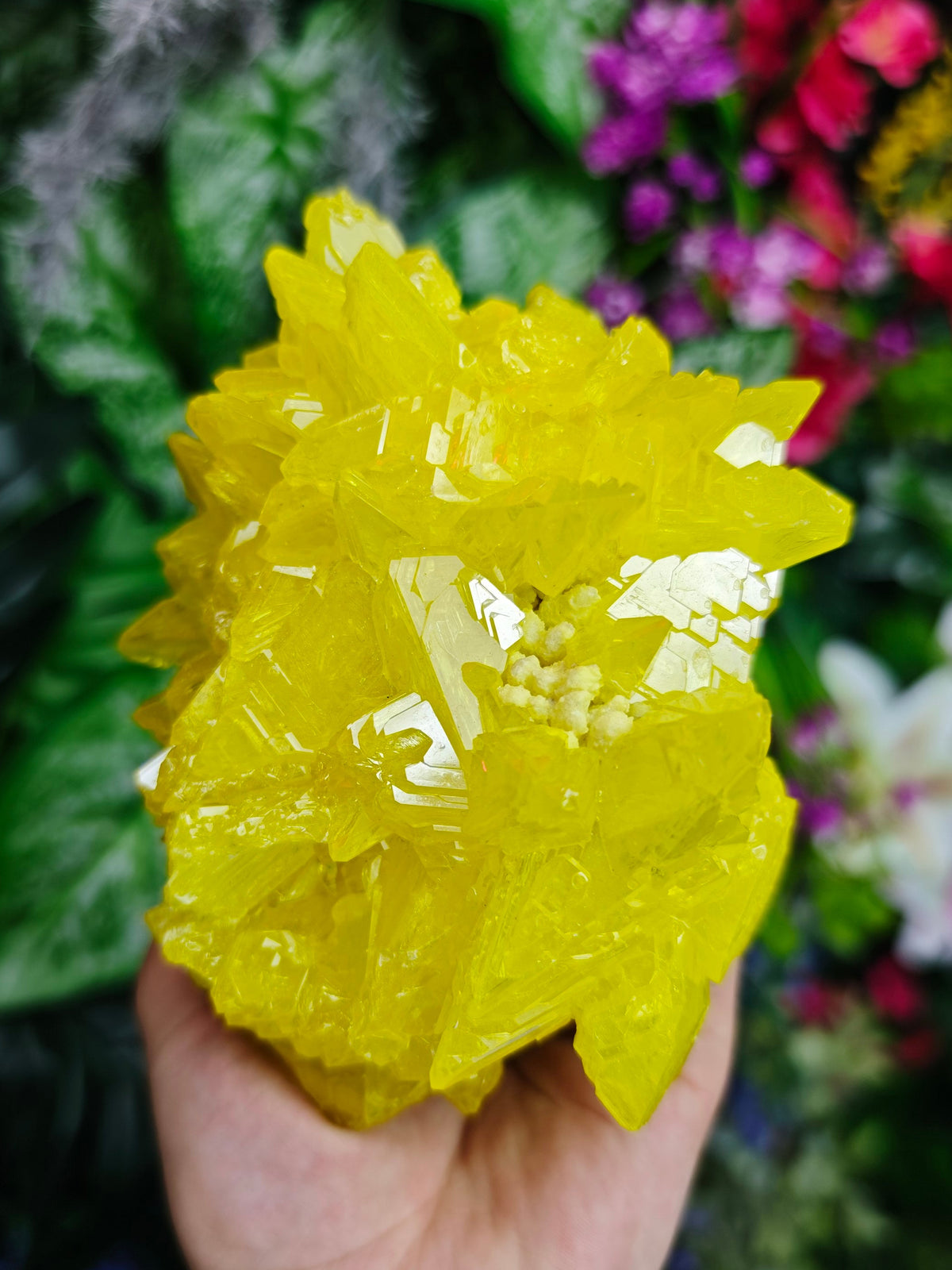 Pure Sulfur Specimen