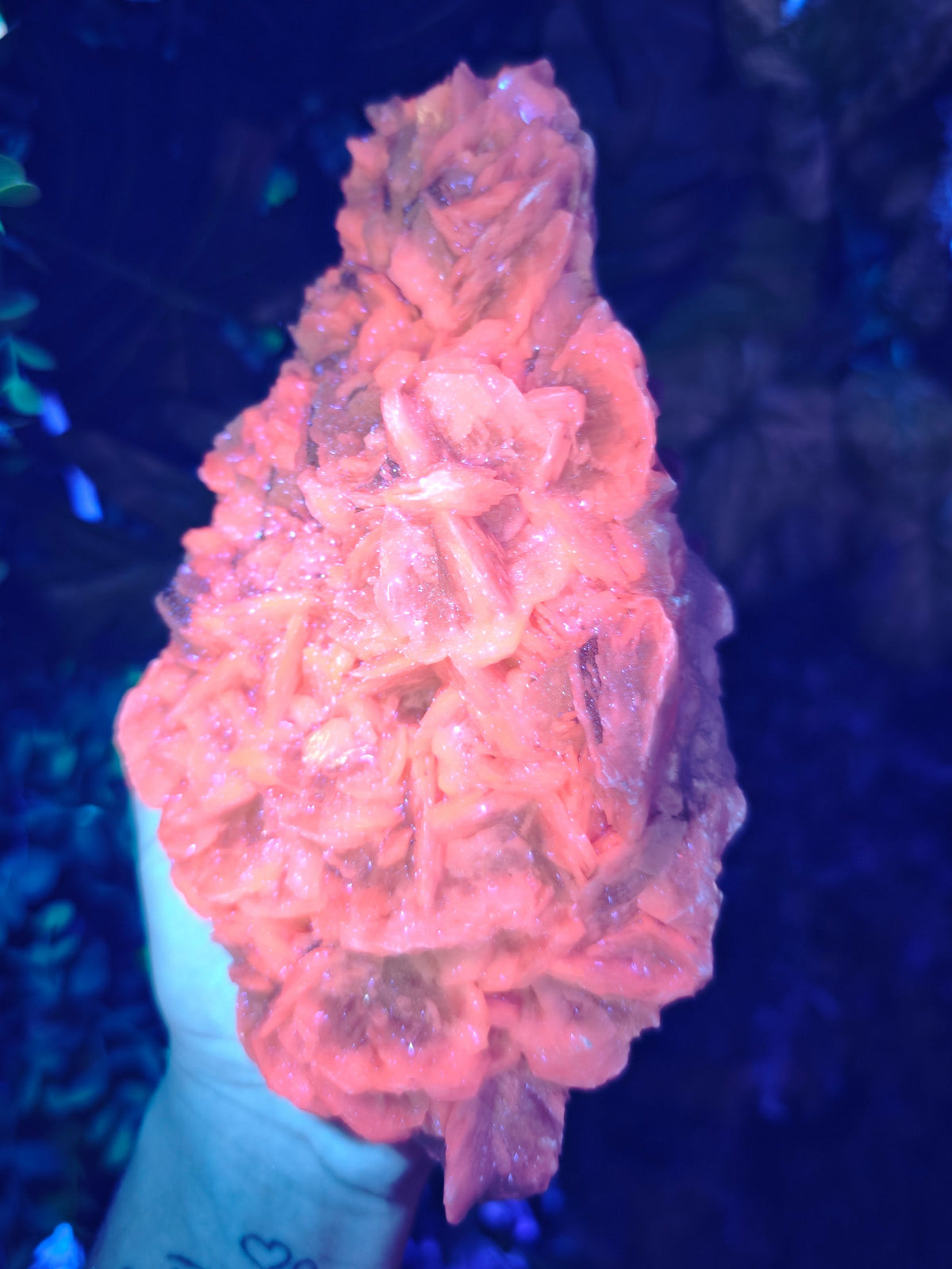 Petal Calcite with Pyrite Statement Raw Stone