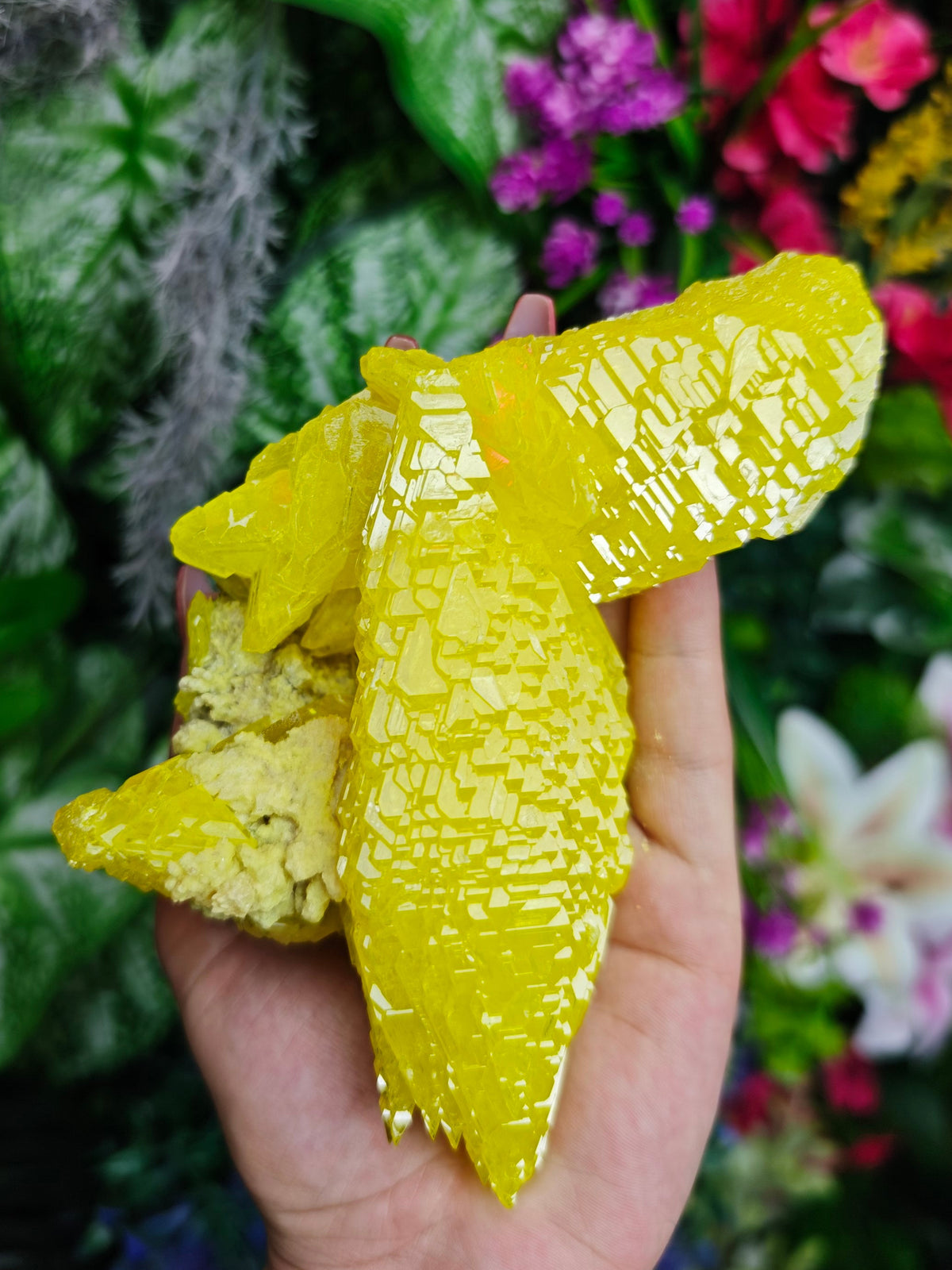 Pure Sulfur Specimen