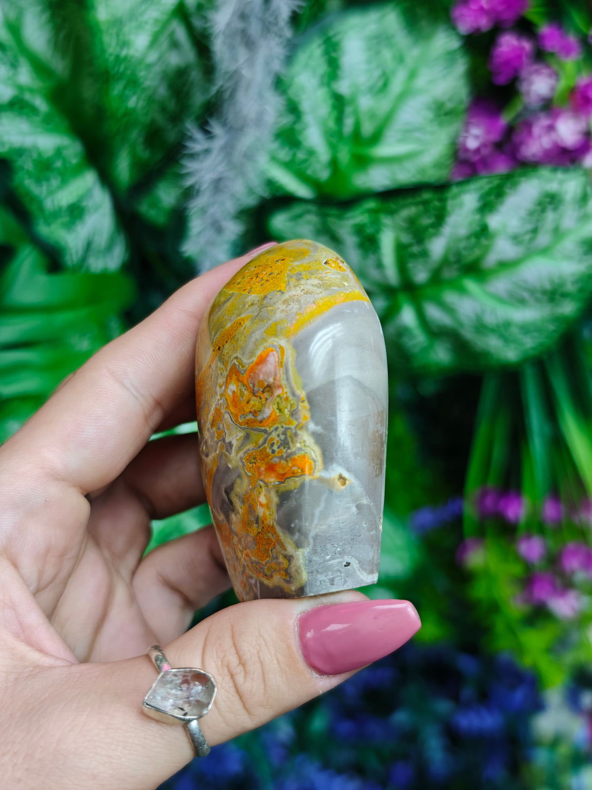 Bumblebee Jasper Freeform