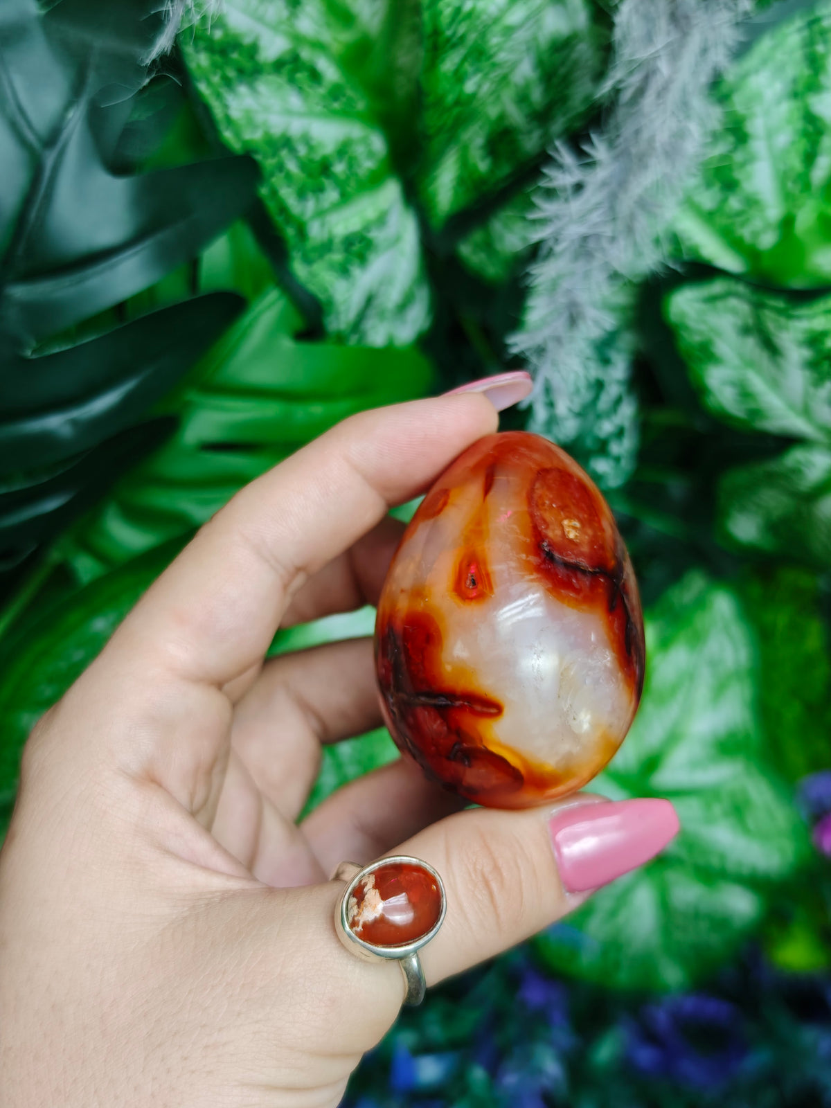 Carnelian & Orca Agate Egg