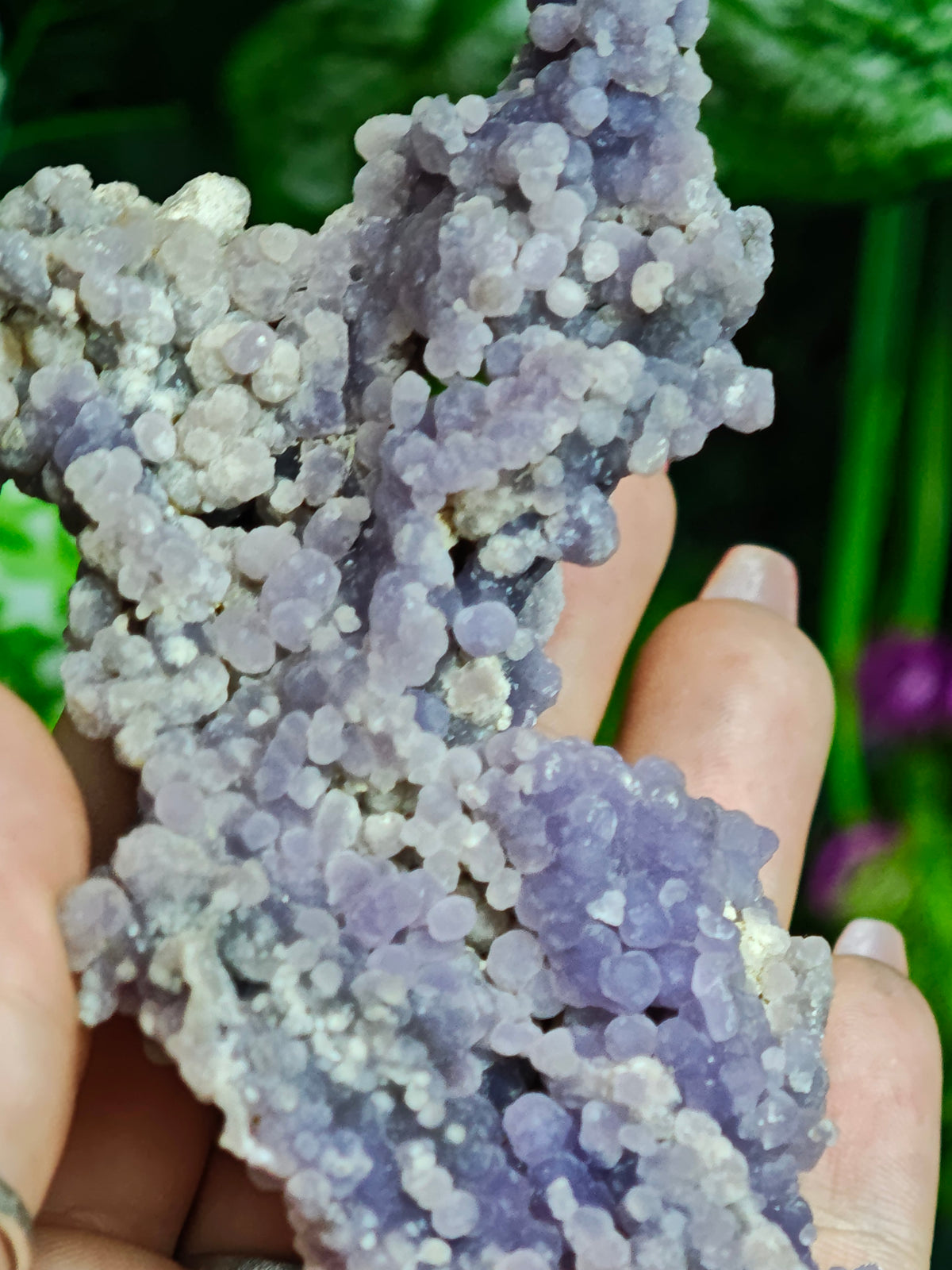 Grape Agate Raw Specimen