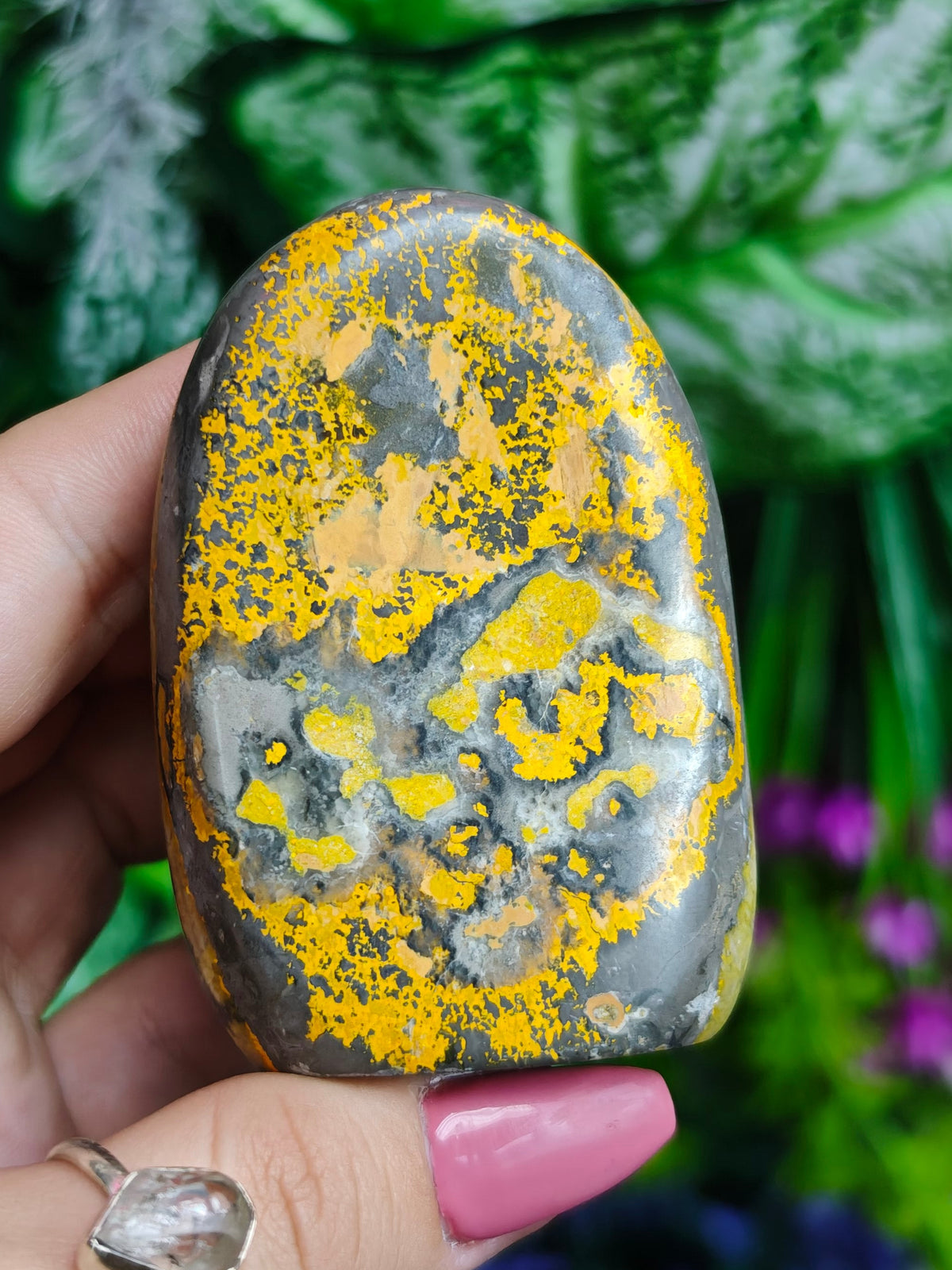 Bumblebee Jasper Free Form