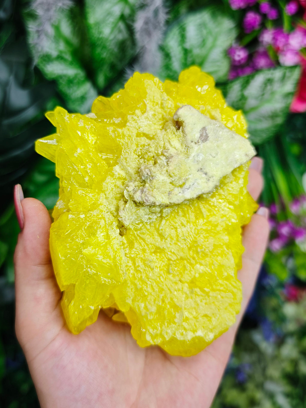 Pure Sulfur Specimen