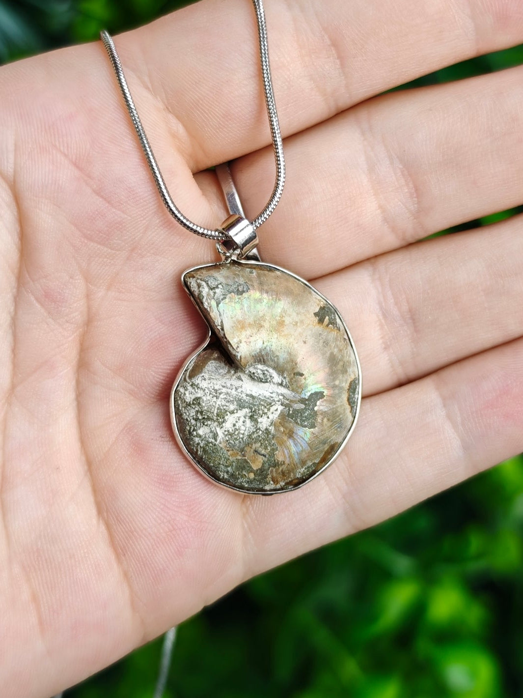 Ammonite Necklace