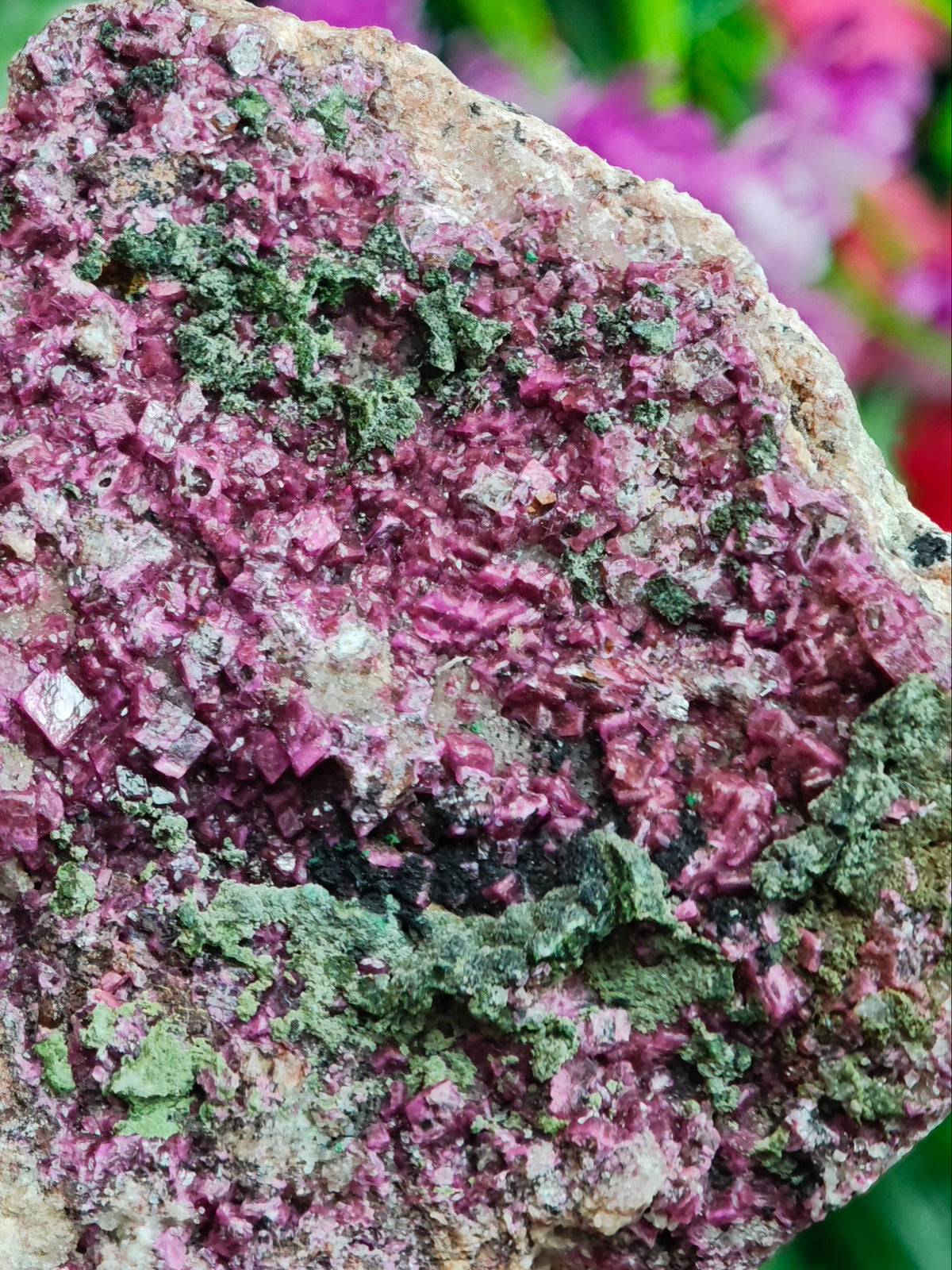 Cobalto Calcite with Malachite Raw Stone