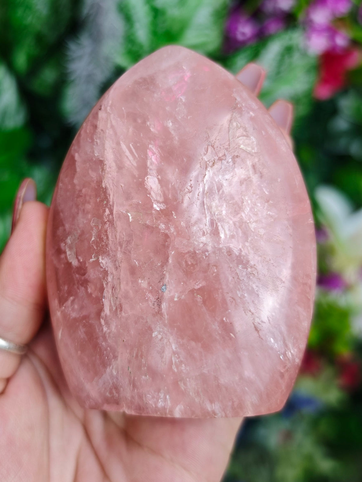 Rose Quartz Free Form