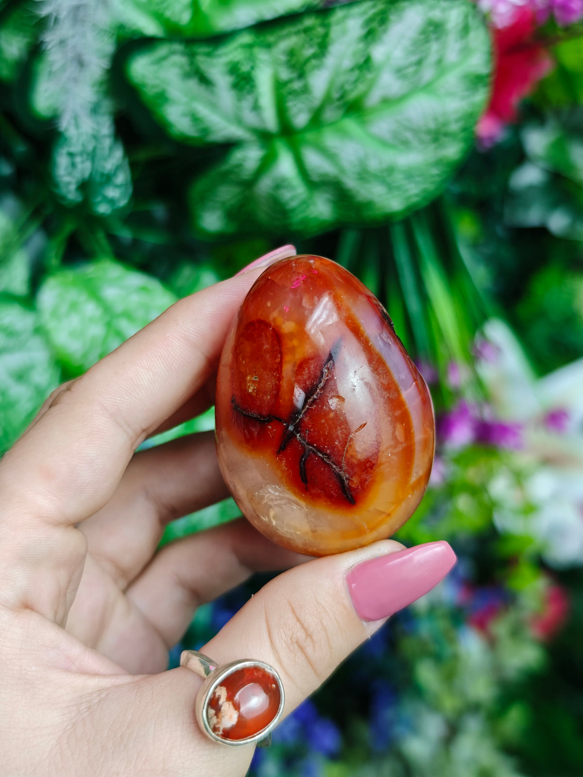 Carnelian & Orca Agate Egg