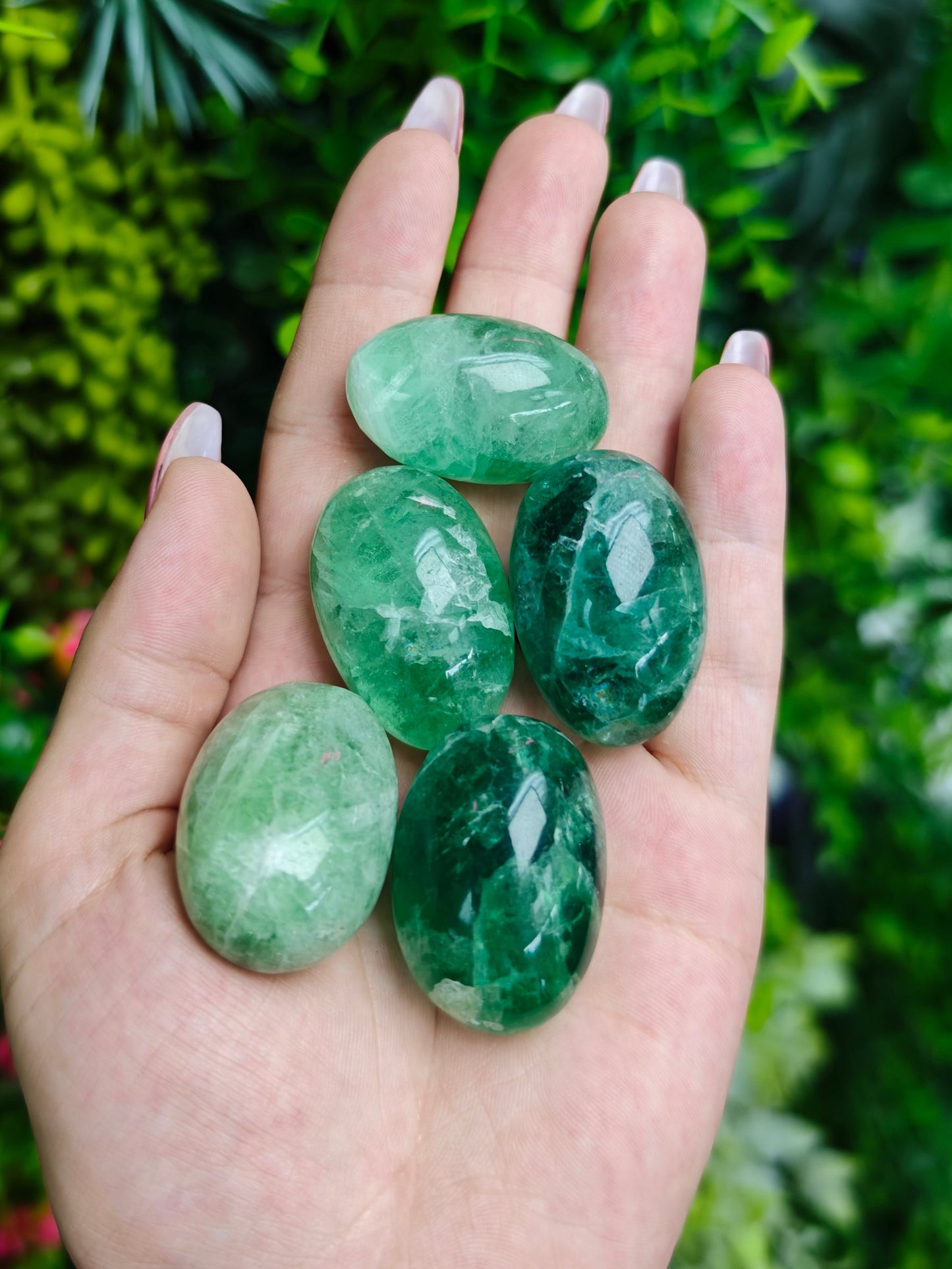 XL Fluorite Tumbled Stones