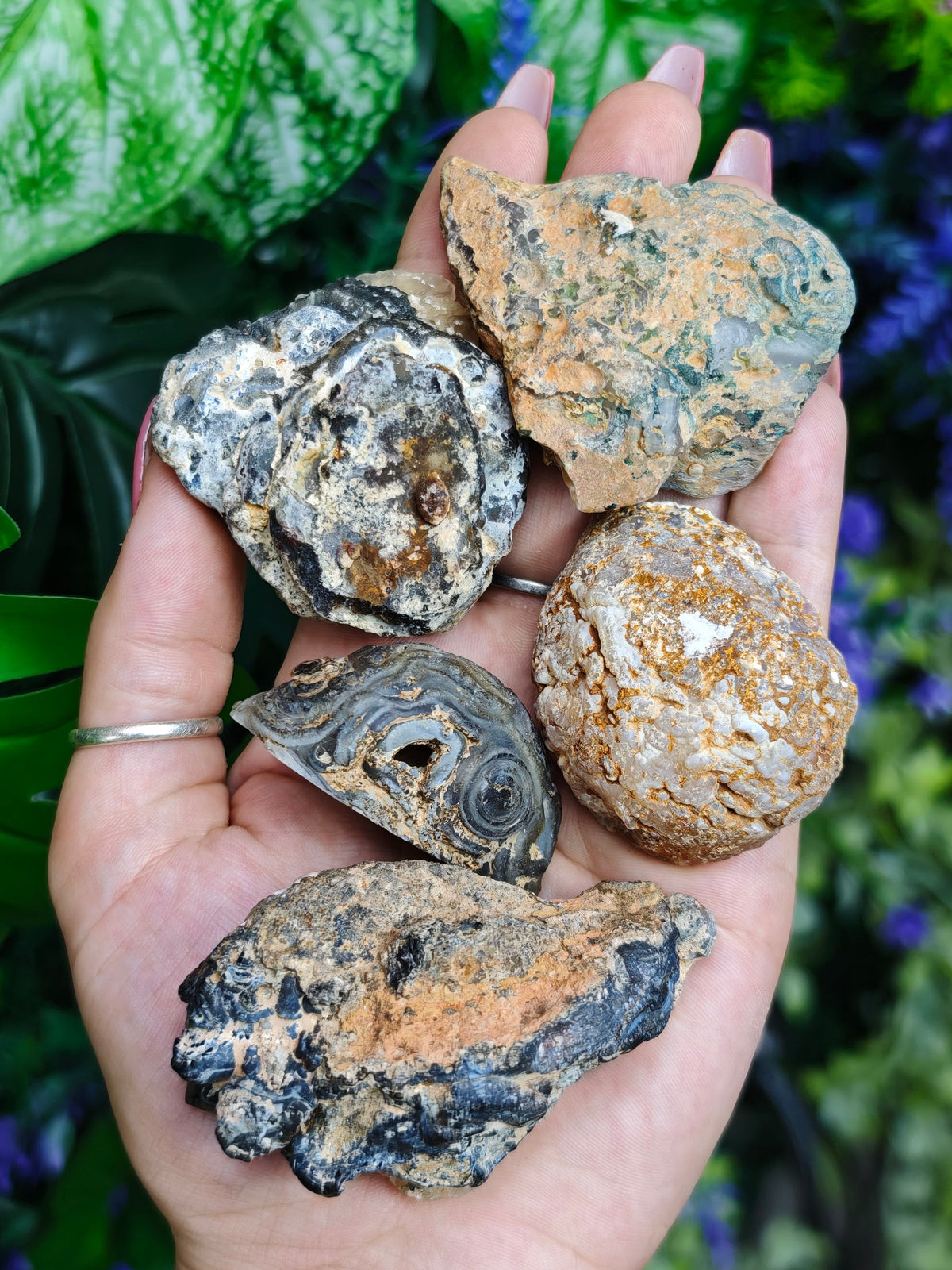 Brazilian Agate Geodes