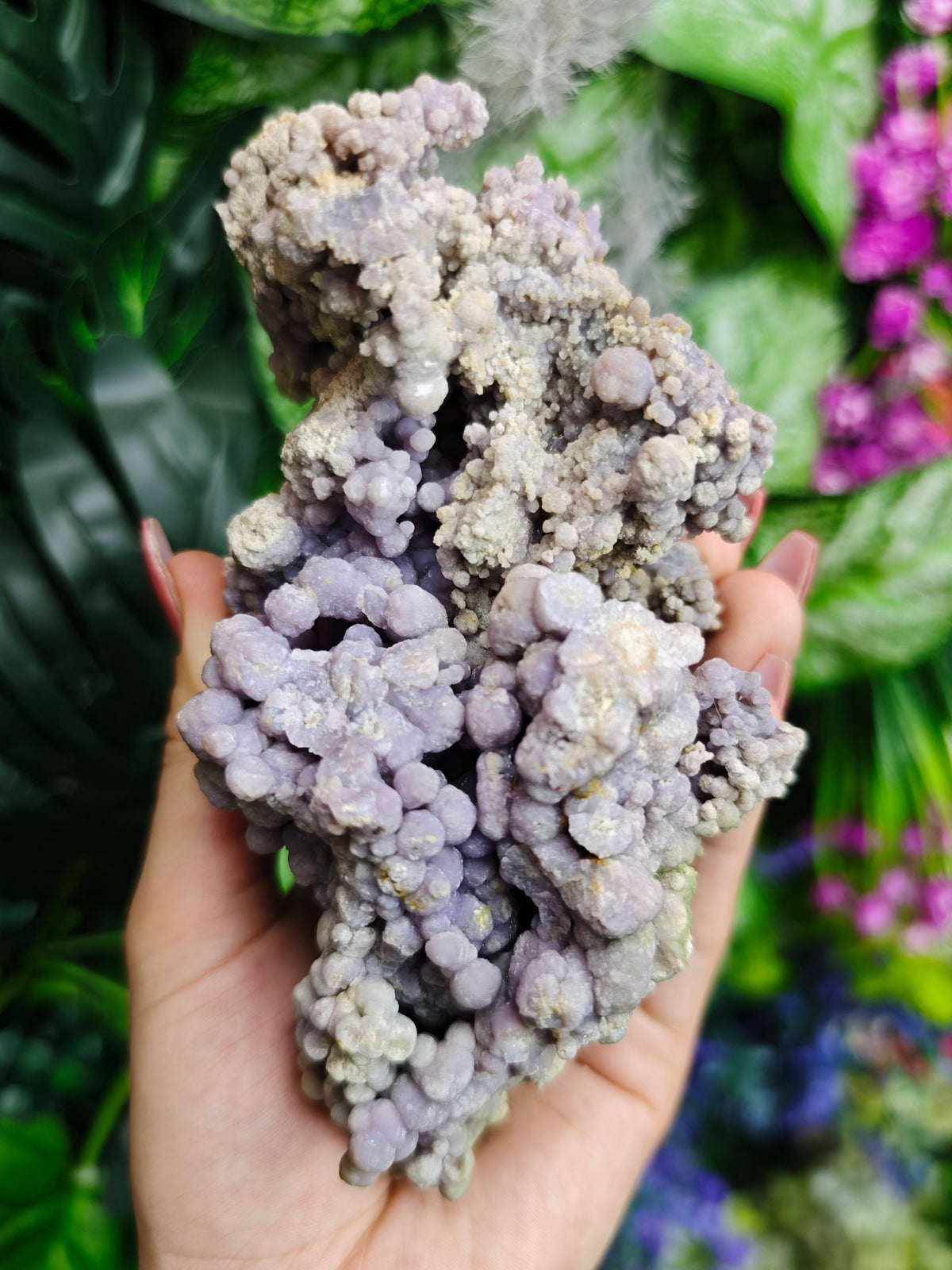 Grape Agate Raw Specimen