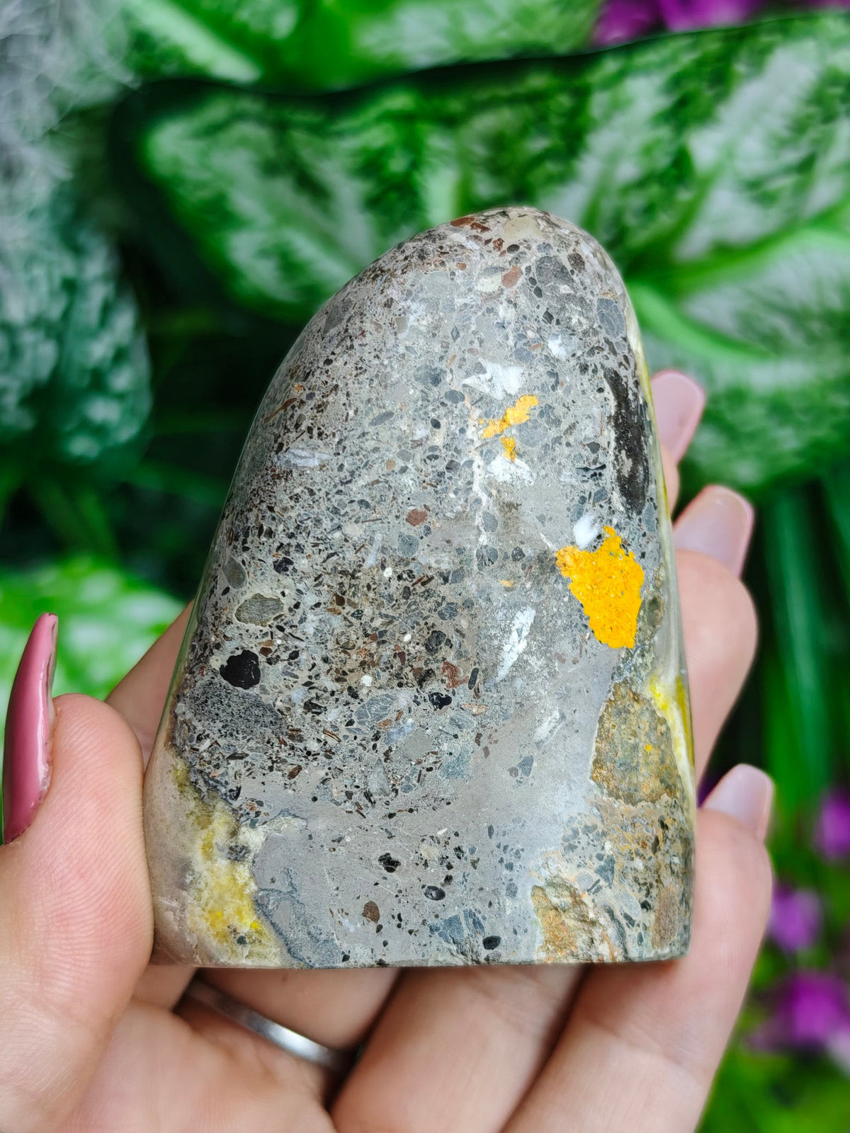 Bumblebee Jasper Freeform