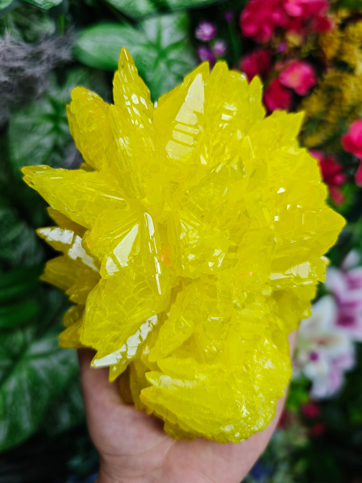 Pure Sulfur Specimen