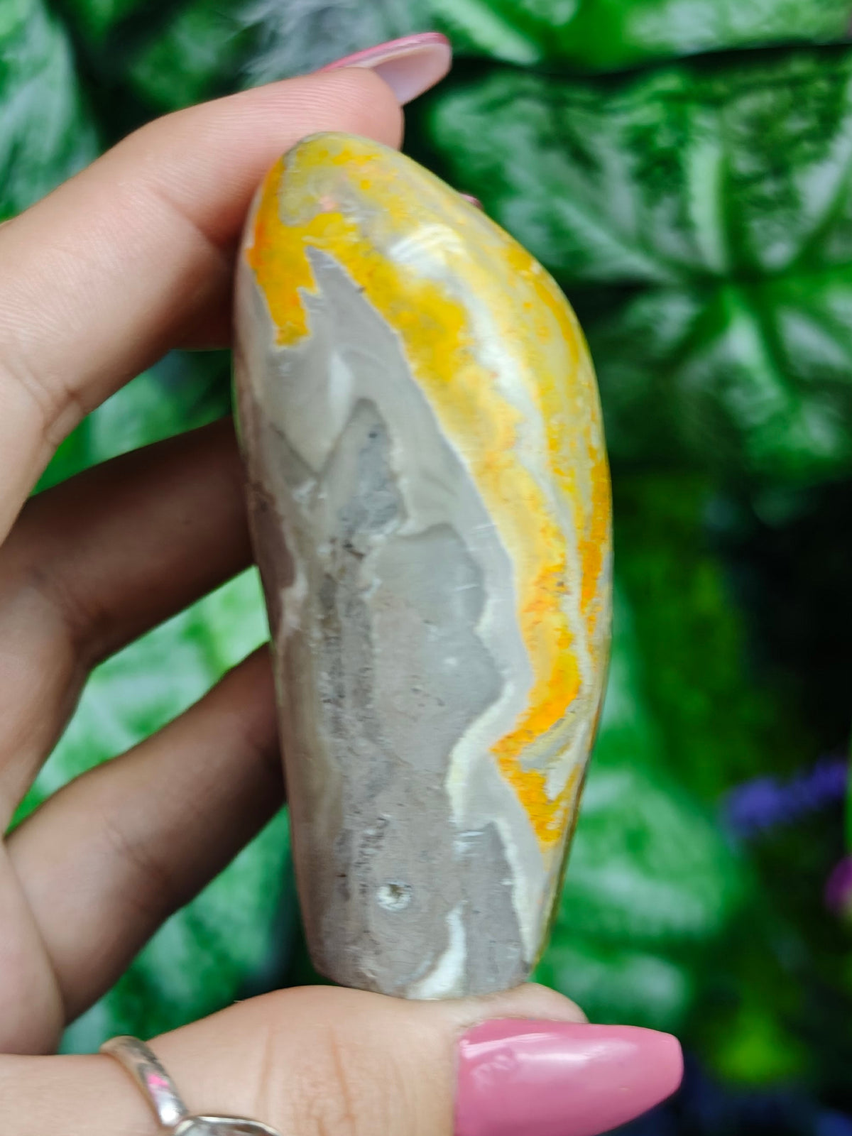 Bumblebee Jasper Freeform