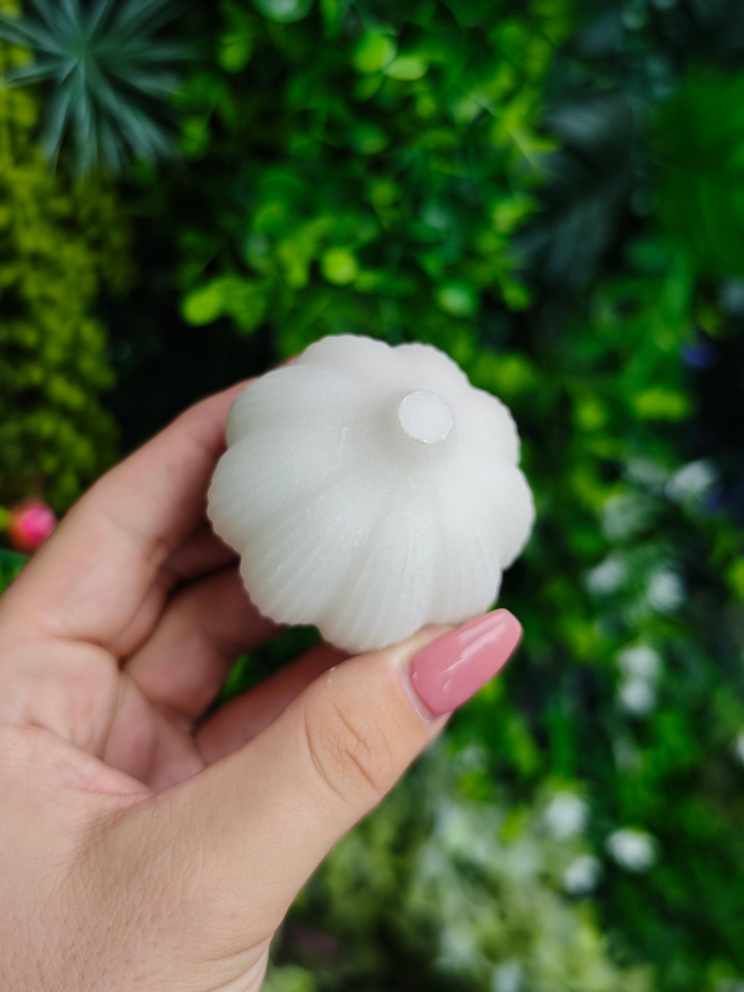 White Jade Garlic