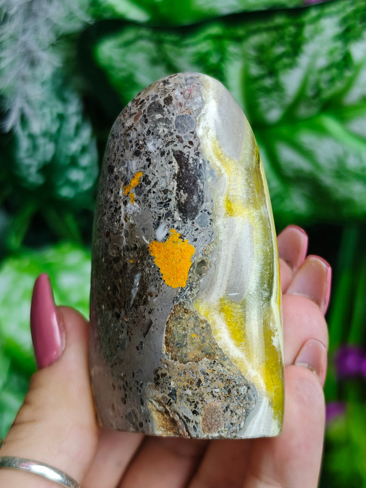 Bumblebee Jasper Freeform