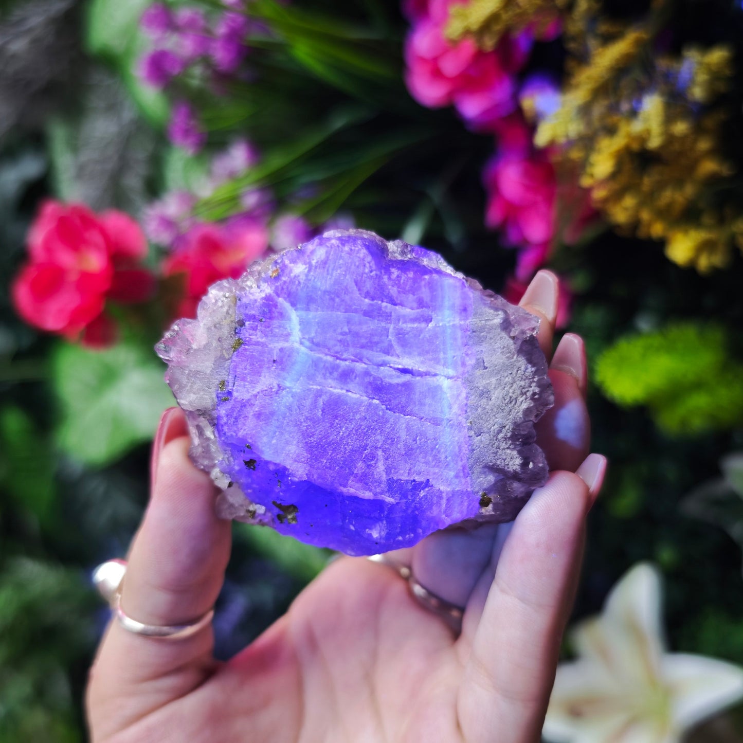 Elestial Amethyst on Fluorite Specimen