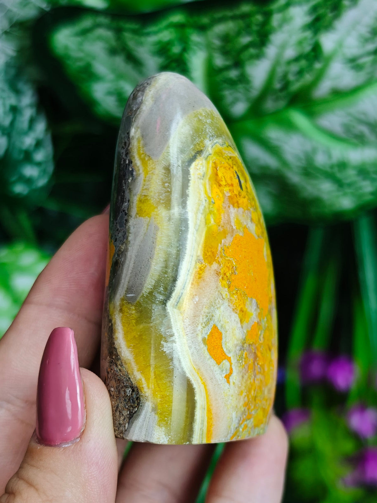 Bumblebee Jasper Freeform
