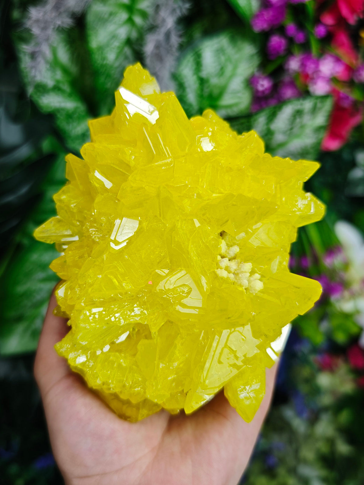 Pure Sulfur Specimen