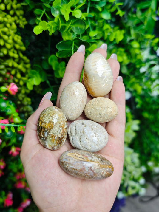 Coral Tumbled Stone