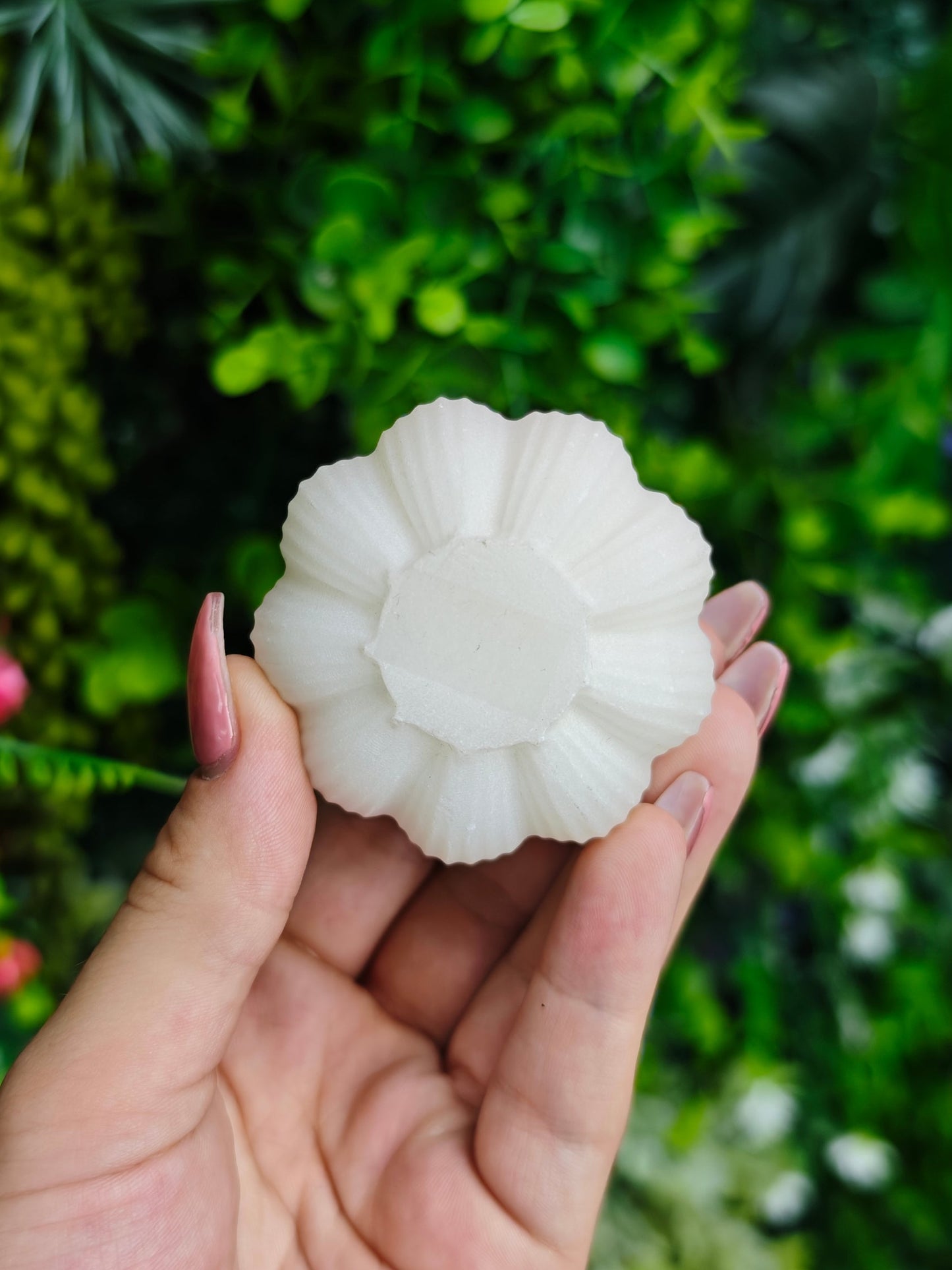 White Jade Garlic
