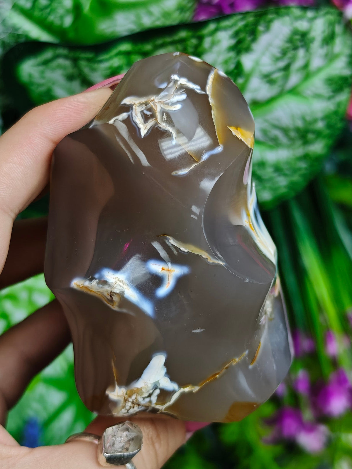 Orca Agate Free Form