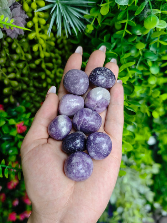 Lepidolite Tumbled Stones