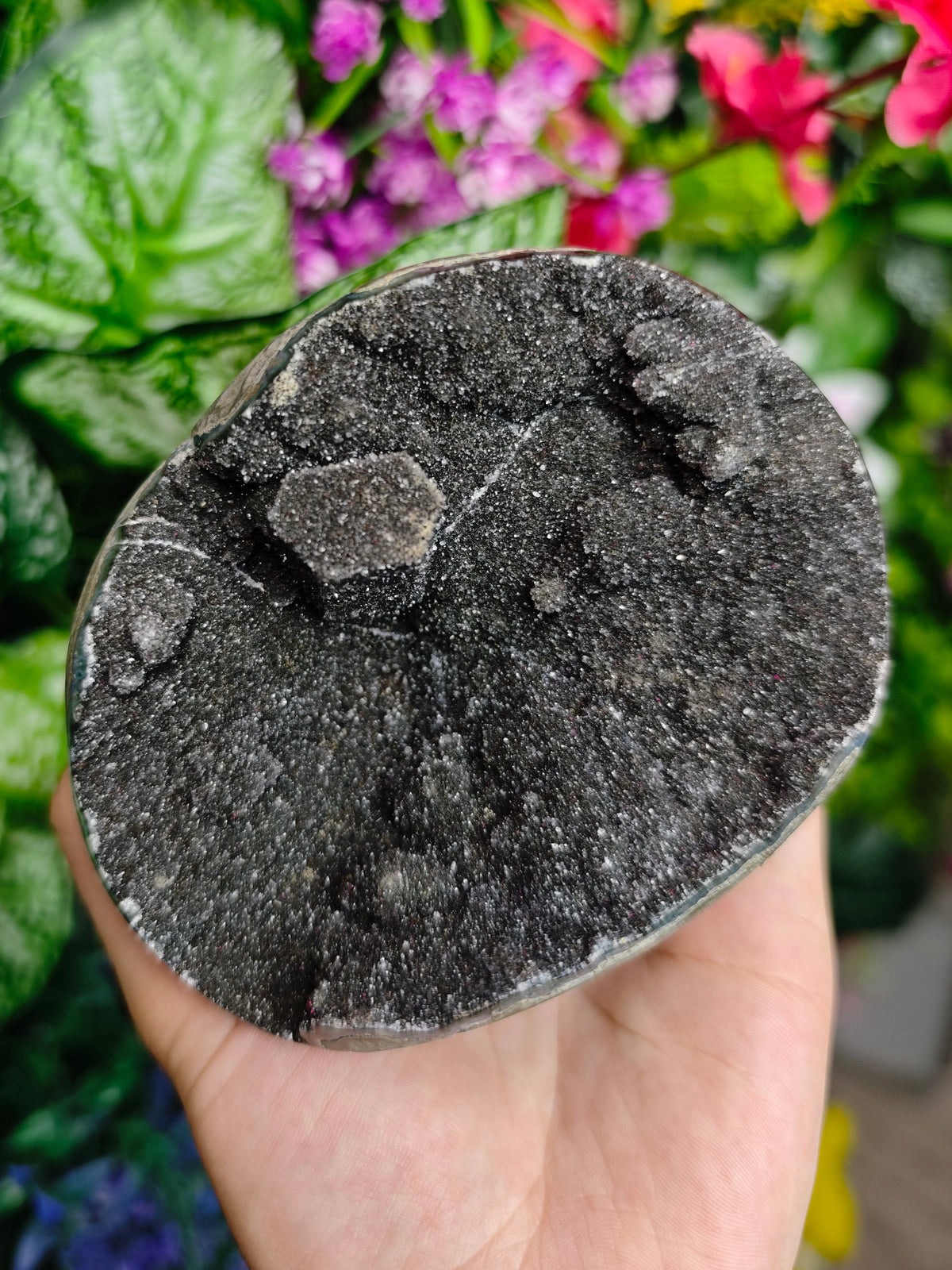 Unique Druzy Black Amethyst Specimen