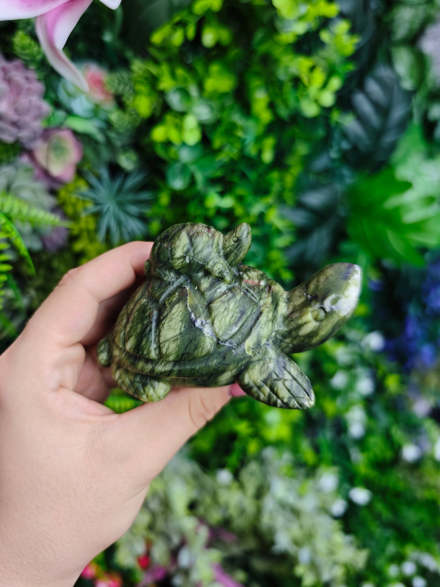 Green Jade Turtles