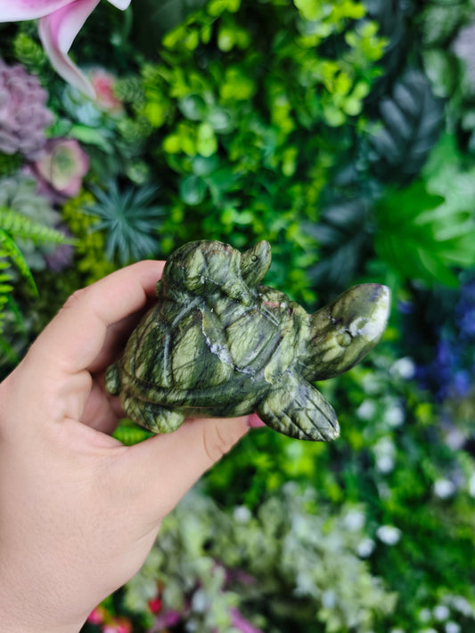 Green Jade Turtles